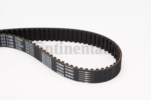 Timing Belt